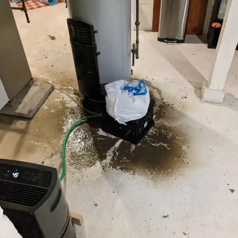 Sewage Backup Cleanup Service in Swainsboro, GA